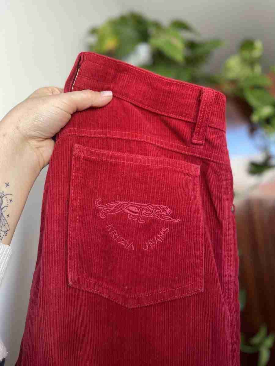93A1A44A-E01F-4908-9F55-4689BDFF8F3A Pantalone in velluto Krizia
