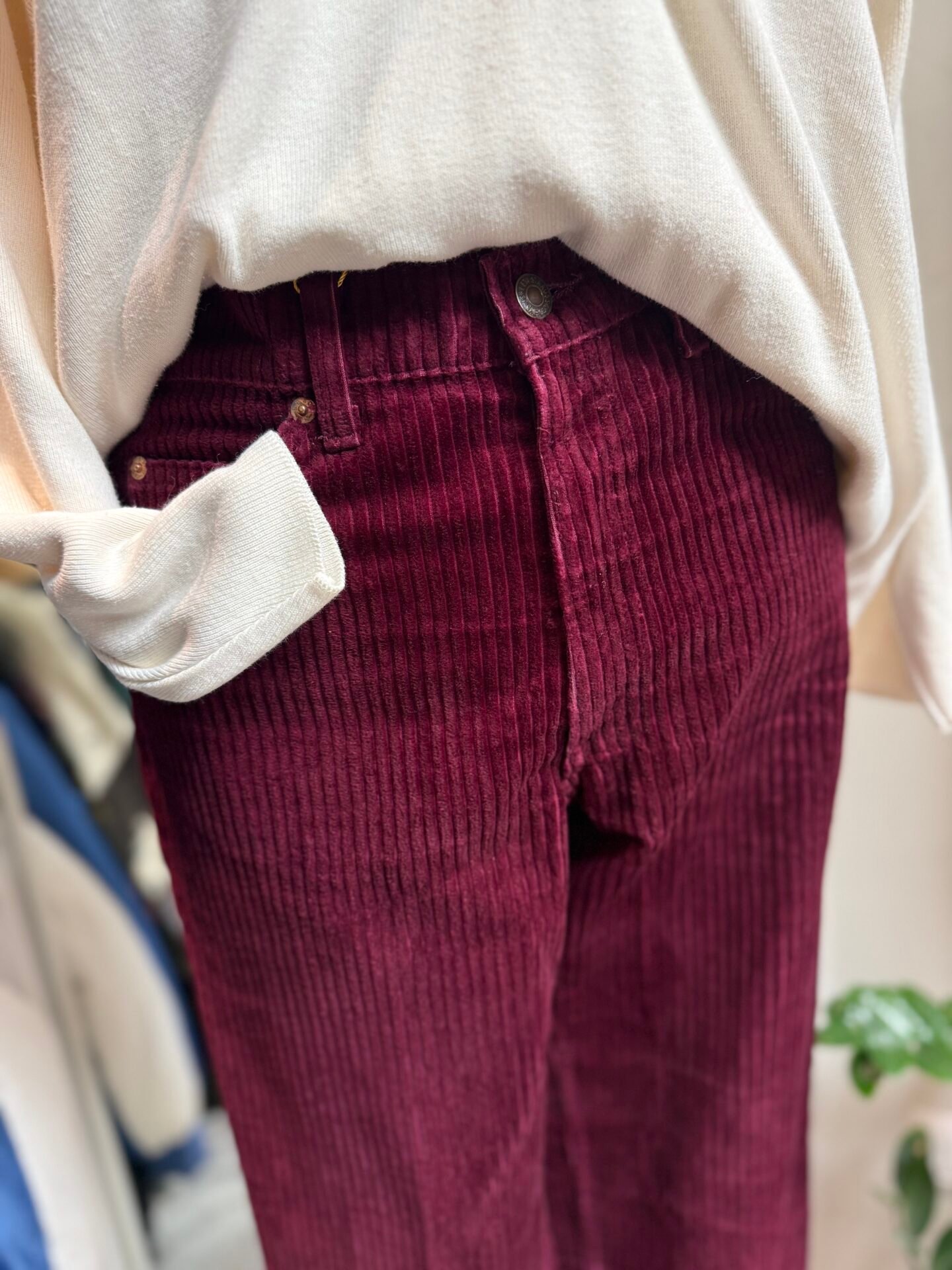 Levis 631 velluto bordeaux