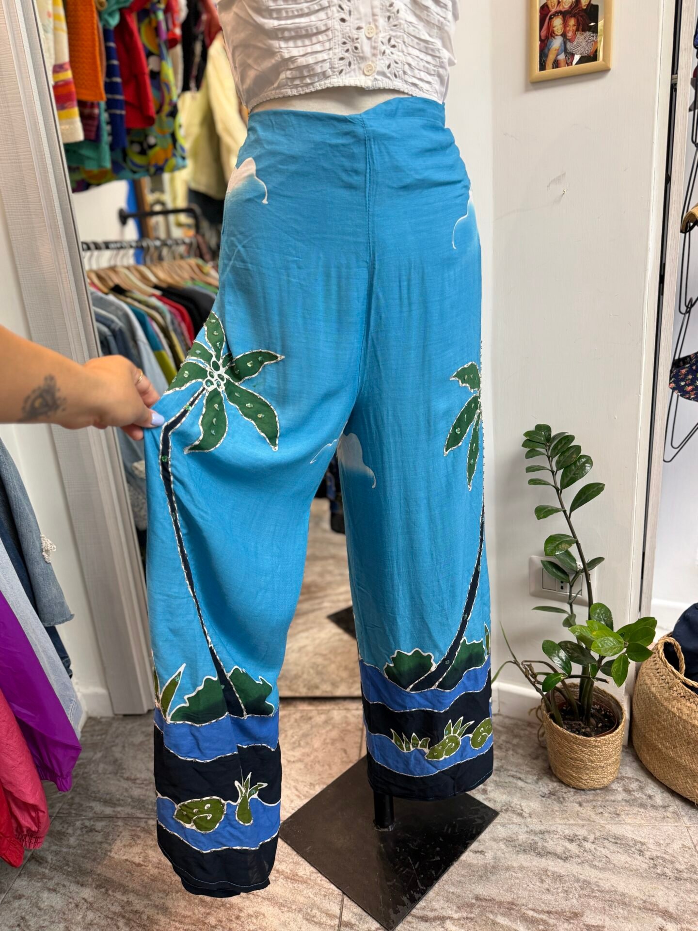 Pantagonna azzurro