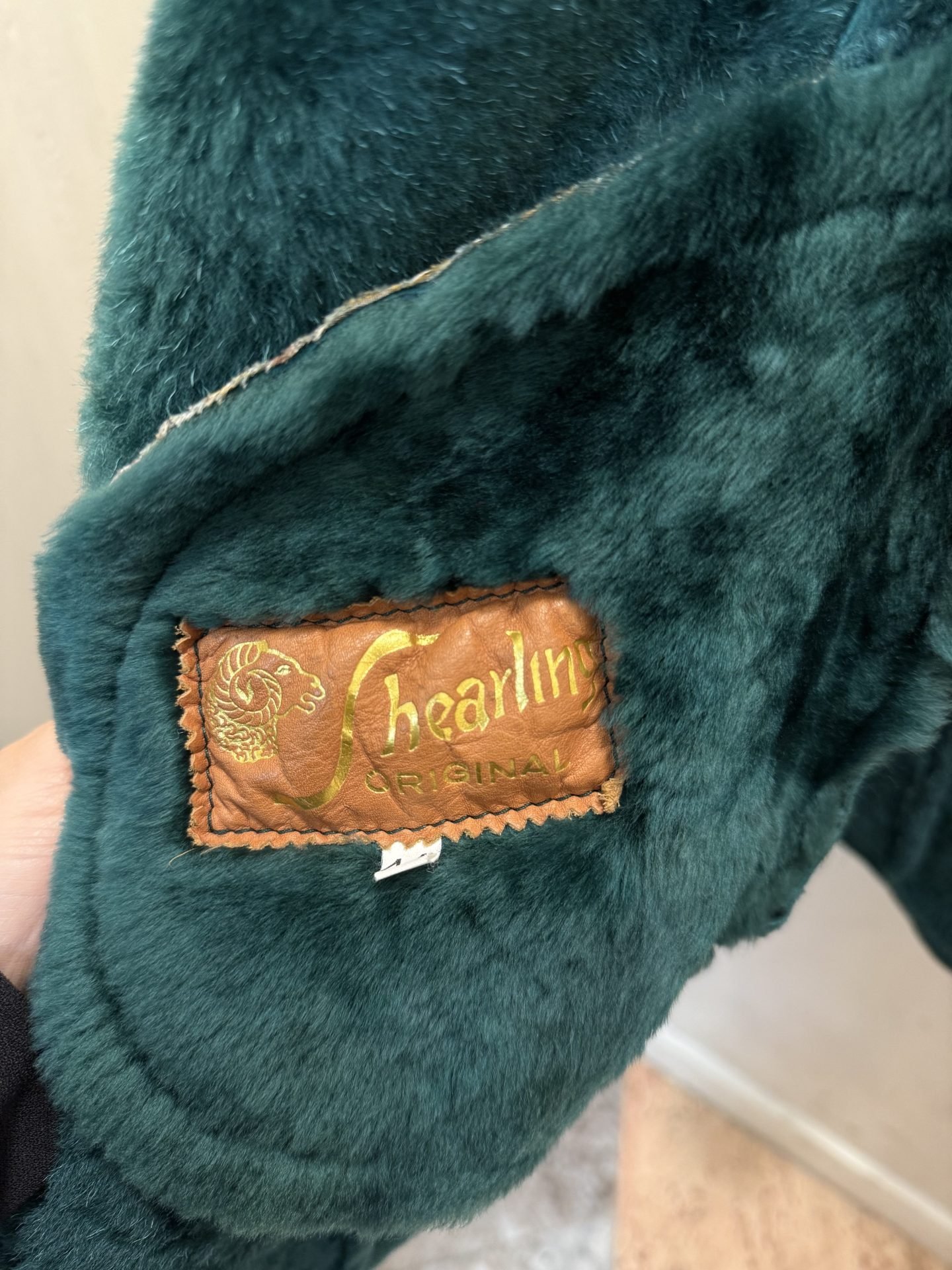 Montone shearling verde