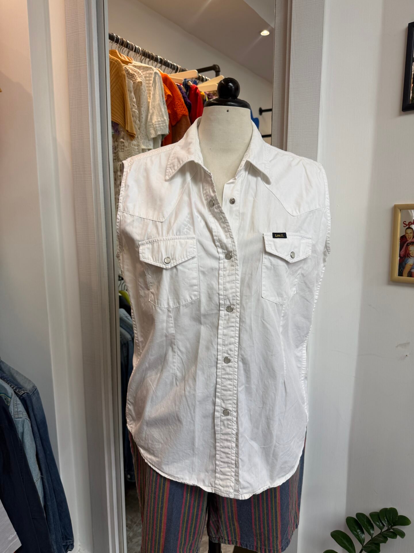 Camicia smanicata Lee