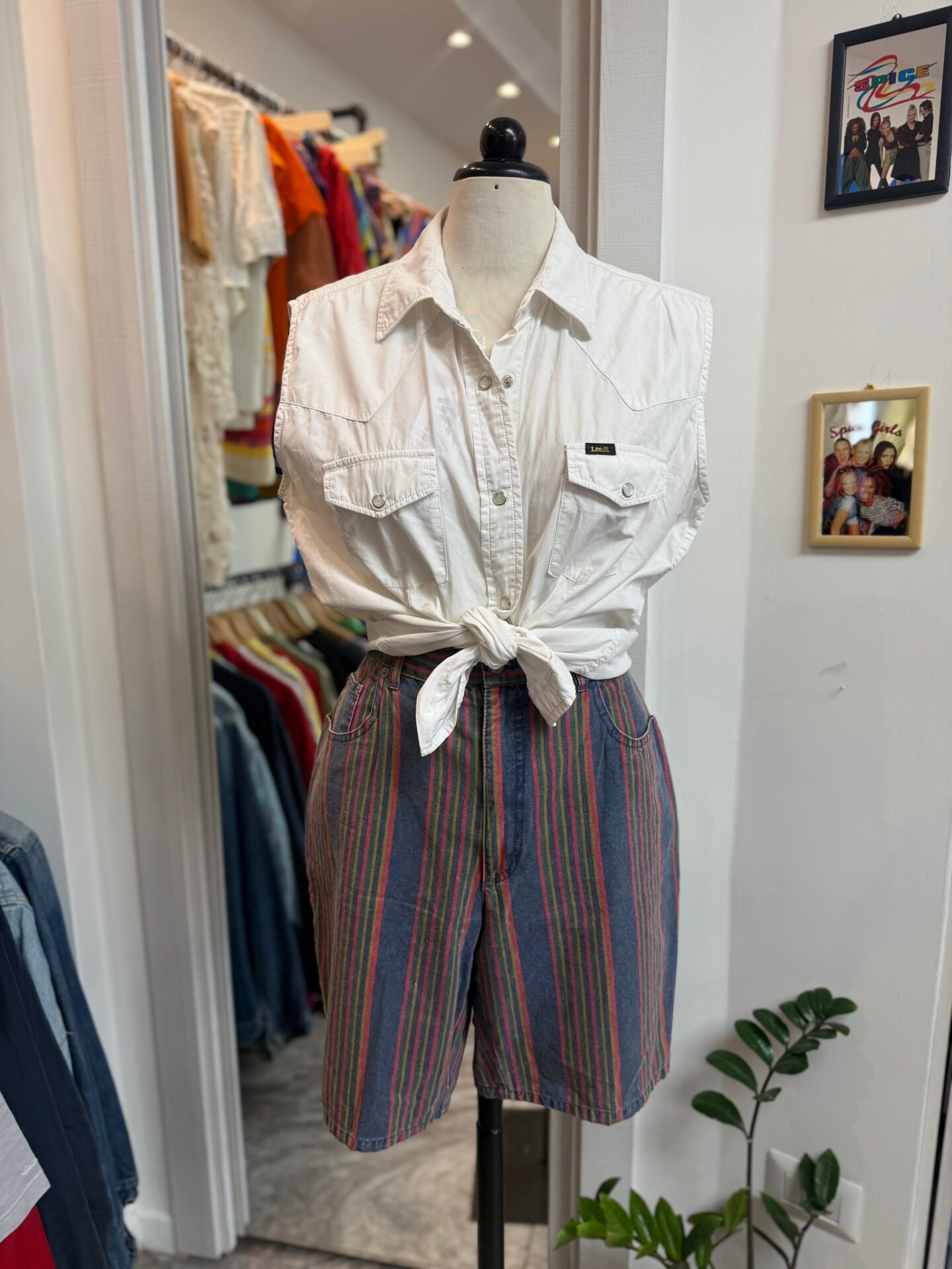 Camicia smanicata Lee
