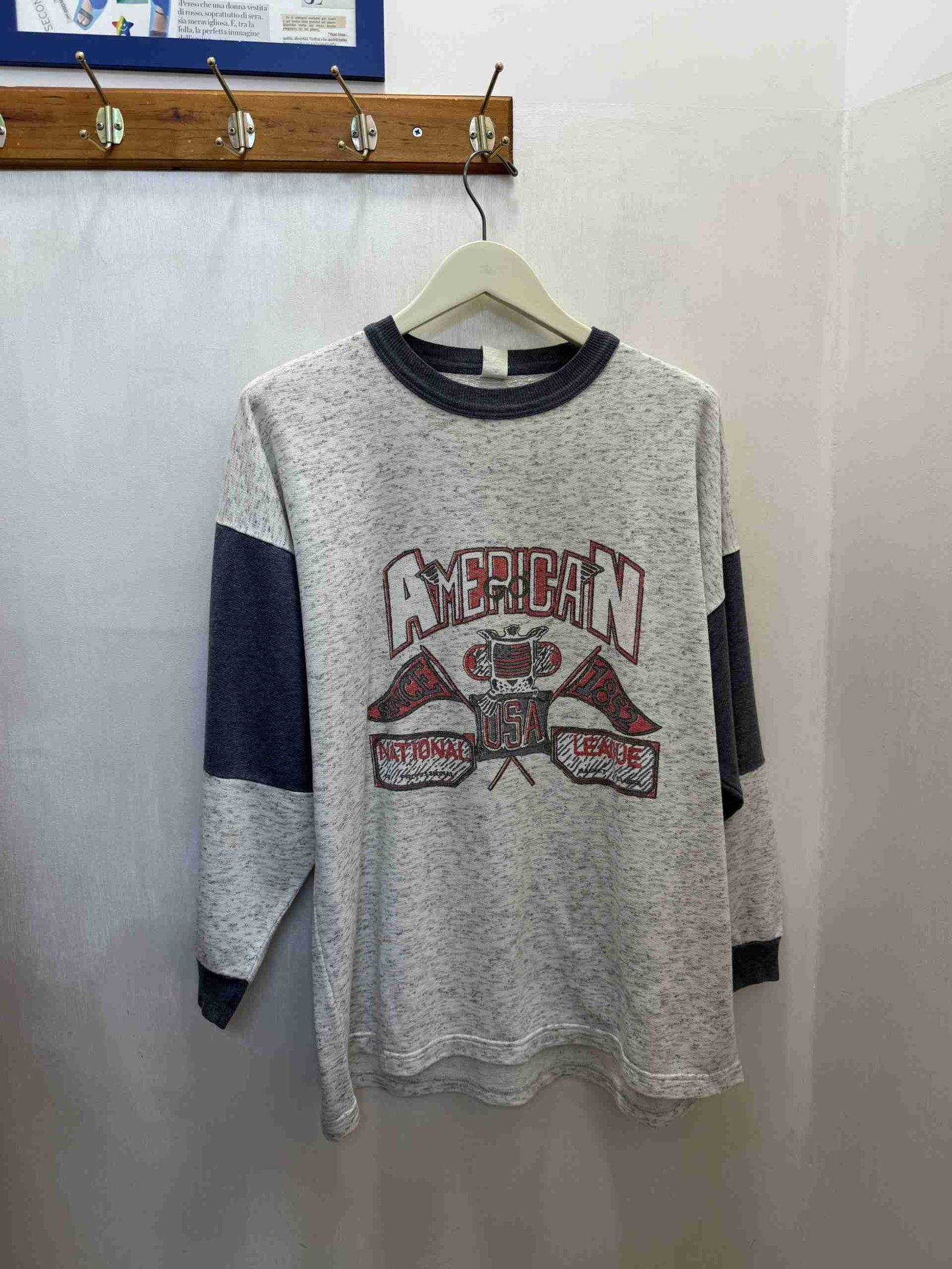 IMG_4336 Felpa grigia American