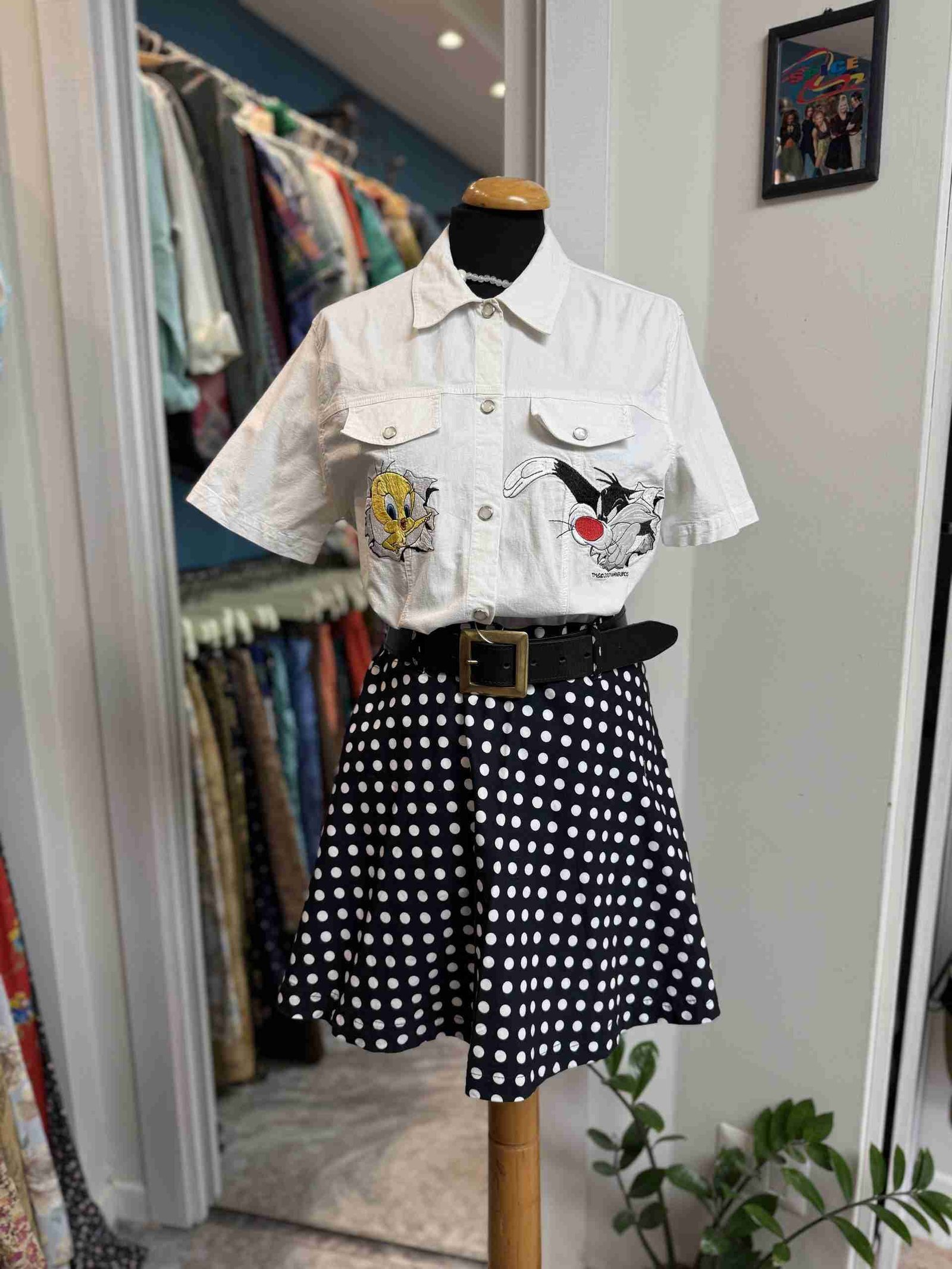 IMG_8631 Camicia bianca Titti e silvestro