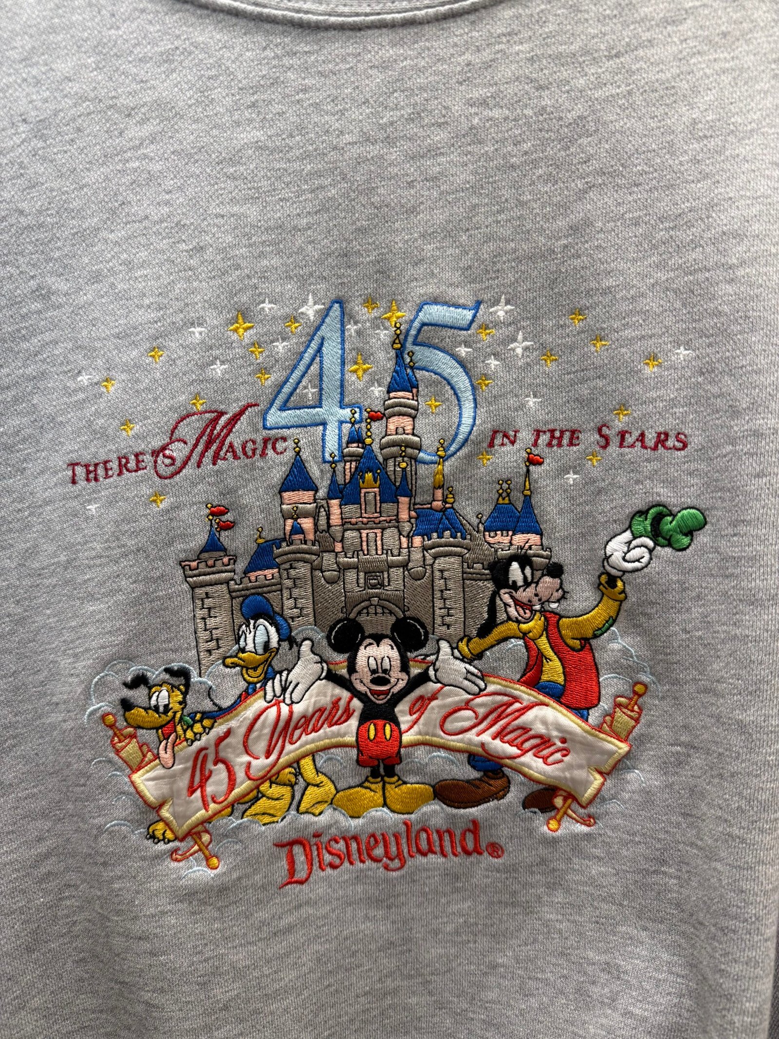 IMG_9449 Felpa Disney